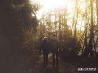 上海申掣网络科技有限公司