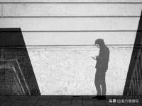 上海申掣网络科技有限公司