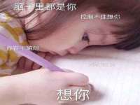 上海申掣网络科技有限公司