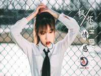 上海申掣网络科技有限公司