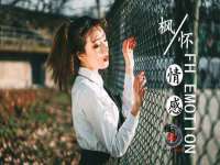 上海申掣网络科技有限公司