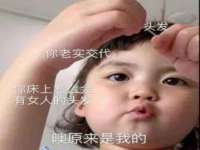 上海申掣网络科技有限公司