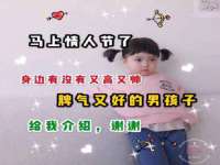 上海申掣网络科技有限公司