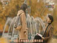 上海申掣网络科技有限公司