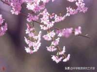 上海申掣网络科技有限公司