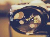 上海申掣网络科技有限公司
