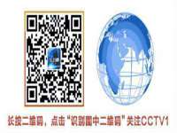 上海申掣网络科技有限公司