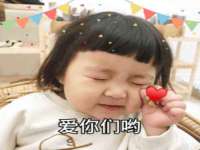 上海申掣网络科技有限公司