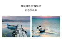上海申掣网络科技有限公司