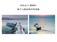 上海申掣网络科技有限公司