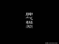 上海申掣网络科技有限公司
