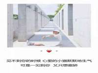 上海申掣网络科技有限公司