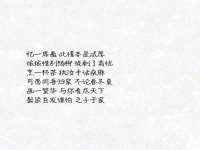 上海申掣网络科技有限公司