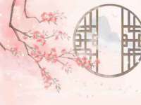 上海申掣网络科技有限公司