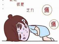 上海申掣网络科技有限公司