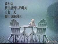 上海申掣网络科技有限公司