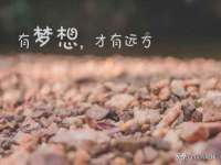 上海申掣网络科技有限公司