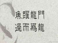上海申掣网络科技有限公司