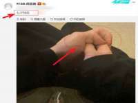 上海申掣网络科技有限公司
