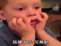 上海申掣网络科技有限公司