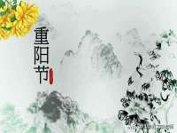 上海申掣网络科技有限公司