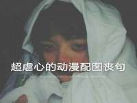 上海申掣网络科技有限公司