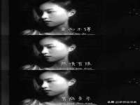 上海申掣网络科技有限公司