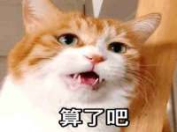 上海申掣网络科技有限公司