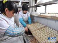 上海申掣网络科技有限公司
