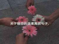 上海申掣网络科技有限公司