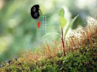 上海申掣网络科技有限公司