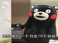 上海申掣网络科技有限公司