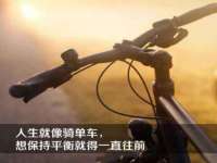上海申掣网络科技有限公司