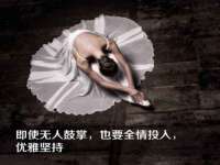 上海申掣网络科技有限公司