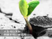 上海申掣网络科技有限公司