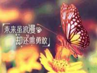 上海申掣网络科技有限公司