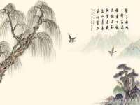 上海申掣网络科技有限公司