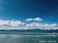上海申掣网络科技有限公司