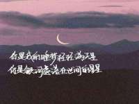 上海申掣网络科技有限公司