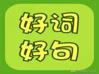 上海申掣网络科技有限公司