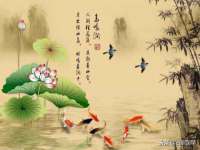 上海申掣网络科技有限公司