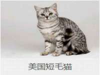 上海申掣网络科技有限公司