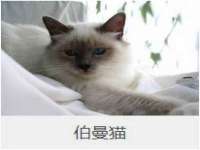 上海申掣网络科技有限公司