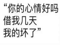 上海申掣网络科技有限公司
