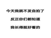 上海申掣网络科技有限公司
