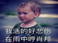 上海申掣网络科技有限公司