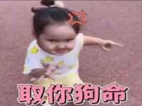 上海申掣网络科技有限公司