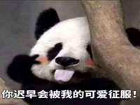 上海申掣网络科技有限公司