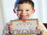 上海申掣网络科技有限公司