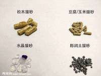 上海申掣网络科技有限公司